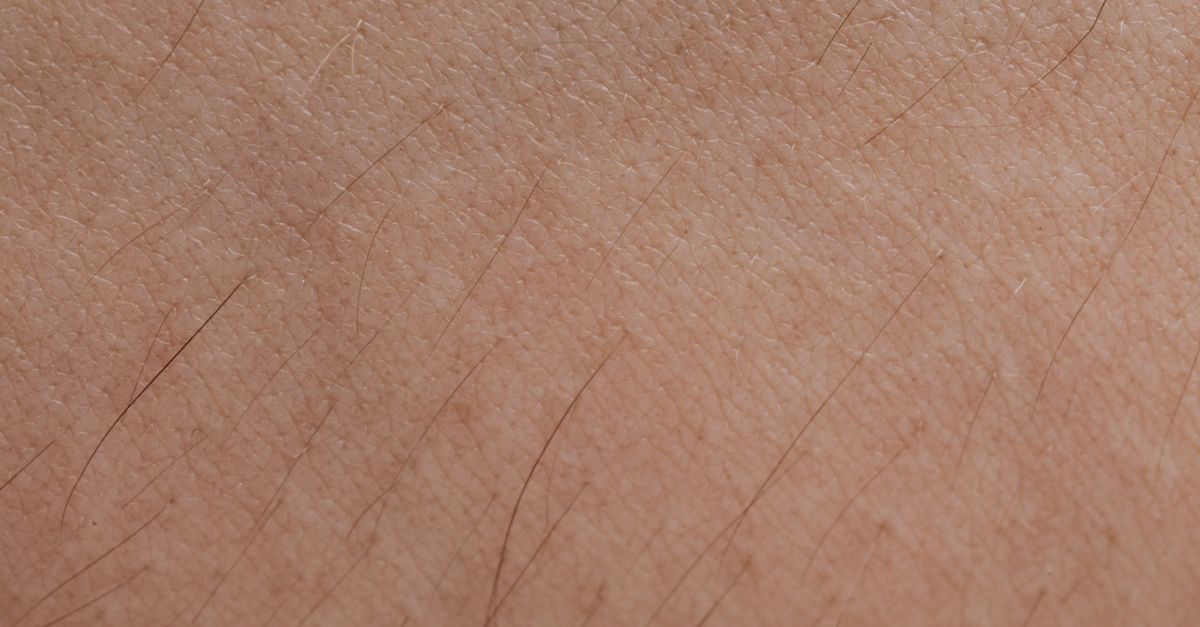 Detailed close-up of human skin texture and hair follicles.